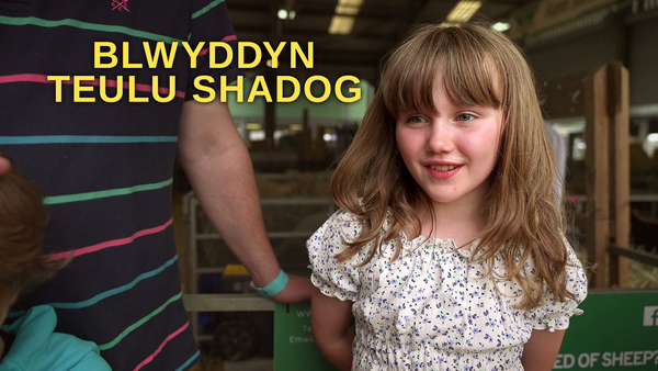Blwyddyn Teulu Shadog