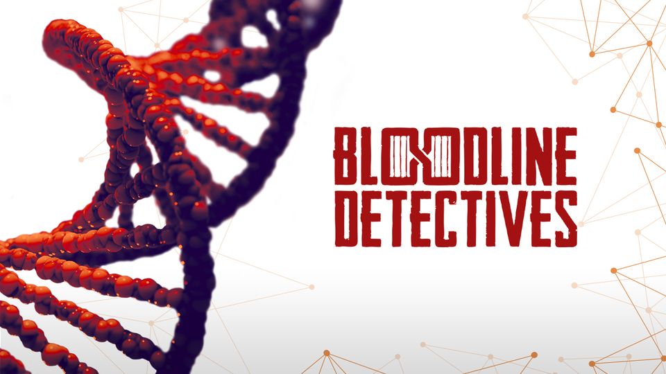 Bloodline Detectives