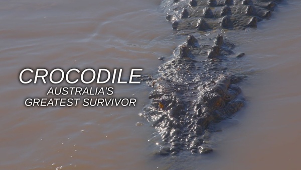 Crocodile: Australia's Greatest Survivor