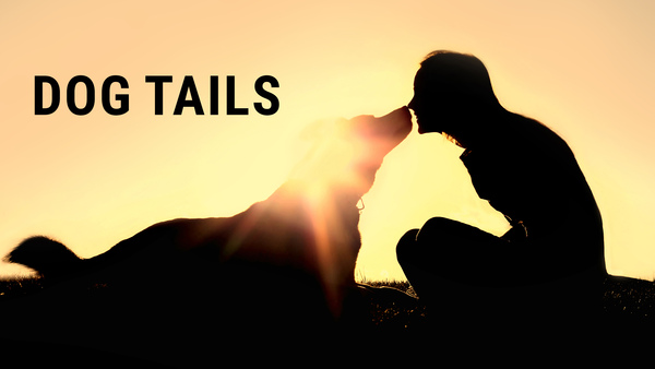 Dog Tails