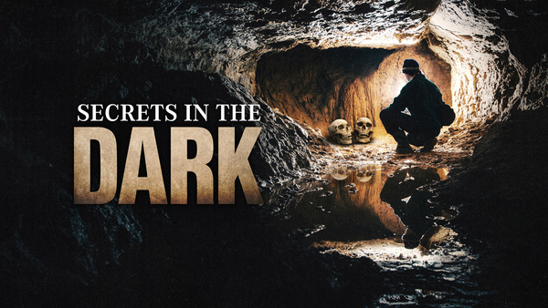 Secrets In The Dark