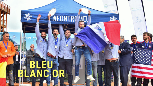 Bleu blanc or