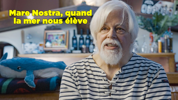 Mare Nostra, quand la mer nous élève