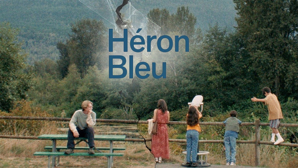 Héron bleu
