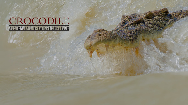 Crocodile -- Australia's Greatest Survivor