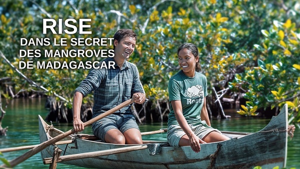 RISE : Dans le secret des mangroves de Madagascar