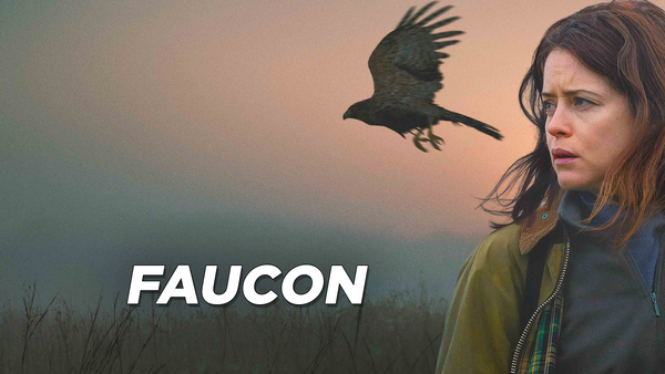 Faucon