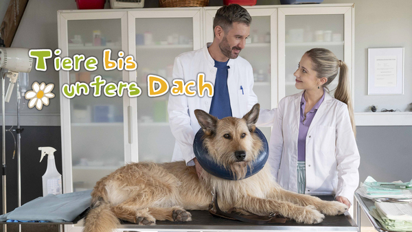 Tiere bis unters Dach