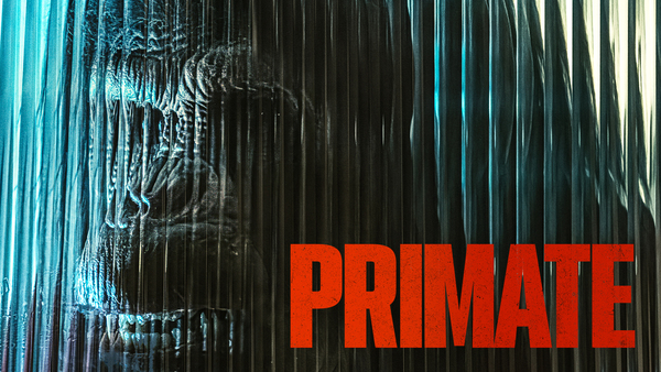 Primate
