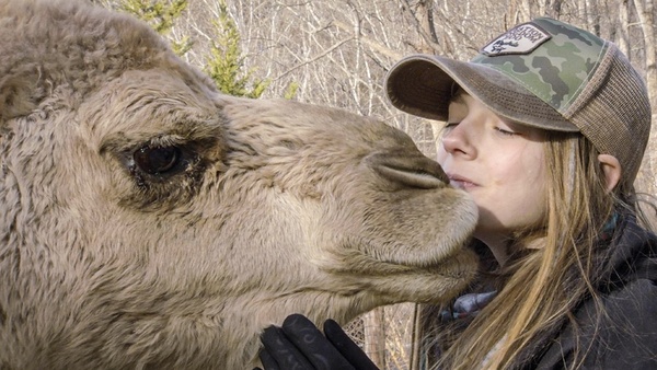Rodzinny Ogród Zoologiczny Królestwo Stworzenia