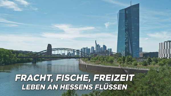 Fracht, Fische, Freizeit - Leben an Hessens Flüssen