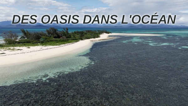 Des oasis dans l'océan
