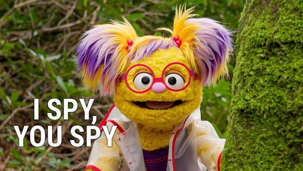 I Spy, You Spy