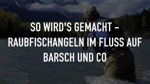 So wird's gemacht - Raubfischangeln im Fluss auf Barsch und Co