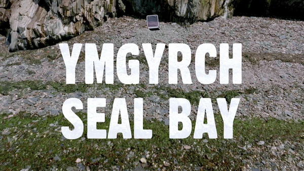 Ymgyrch Seal Bay