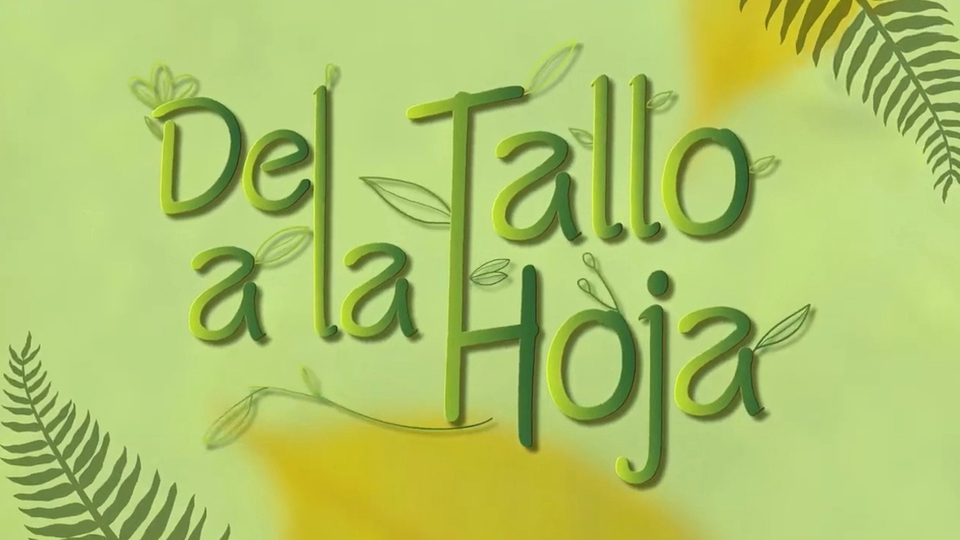 Del tallo a la hoja
