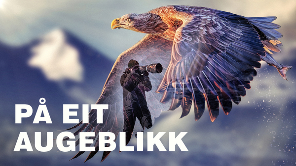 På eit augeblikk