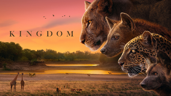 Kingdom