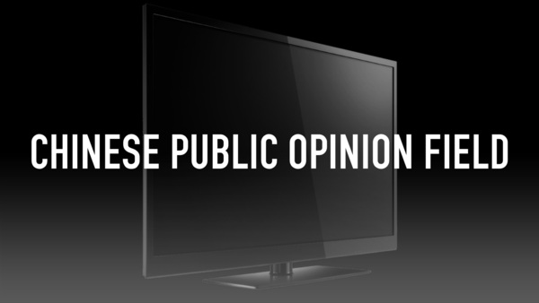 Chinese public opinion field