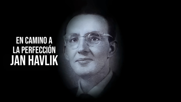 En camino a la perfección: Jan Havlik