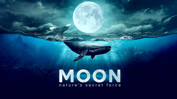 Moon: Nature's Secret Force