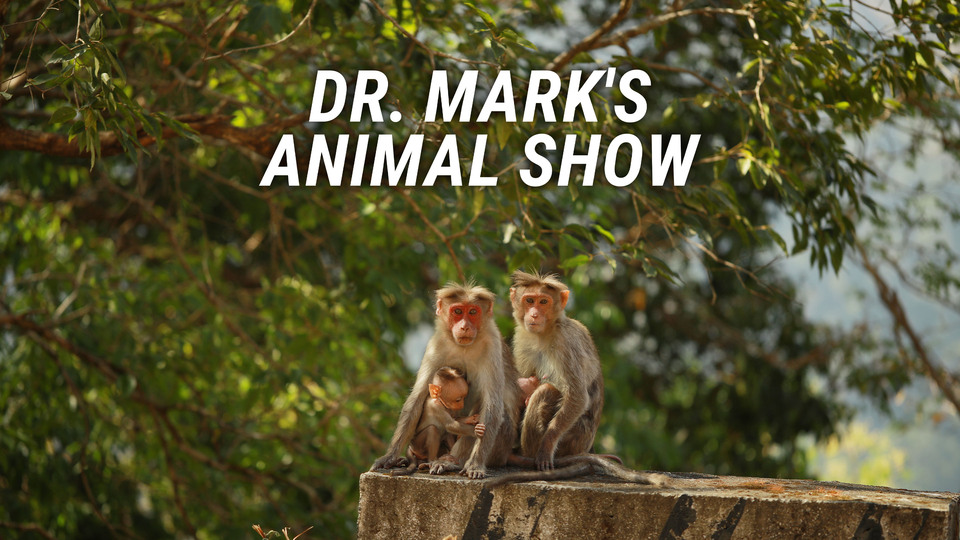 Dr. Mark's Animal Show