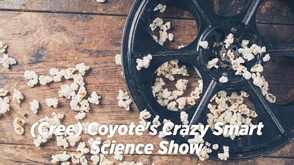 (Cree) Coyote's Crazy Smart Science Show