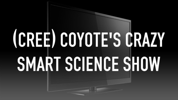 (Cree) Coyote's Crazy Smart Science Show