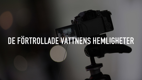 De förtrollade vattnens hemligheter