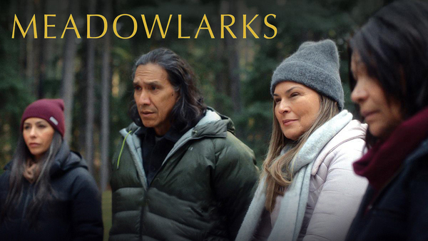 Meadowlarks