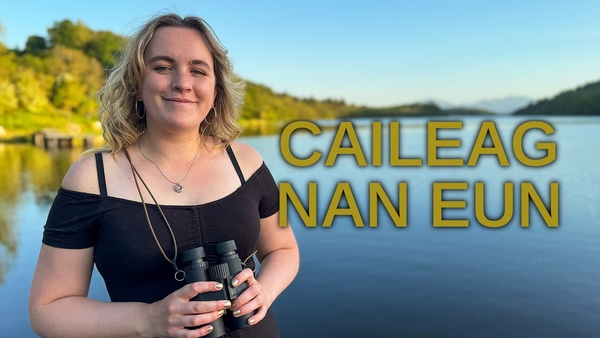Caileag nan Eun