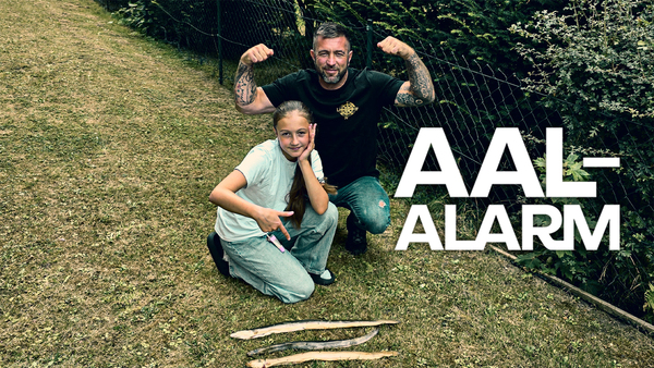 Aal-Alarm