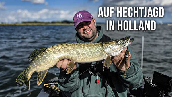 Auf Hechtjagd in Holland