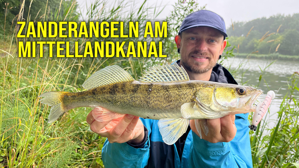 Zanderangeln am Mittellandkanal