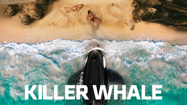 Killer Whale