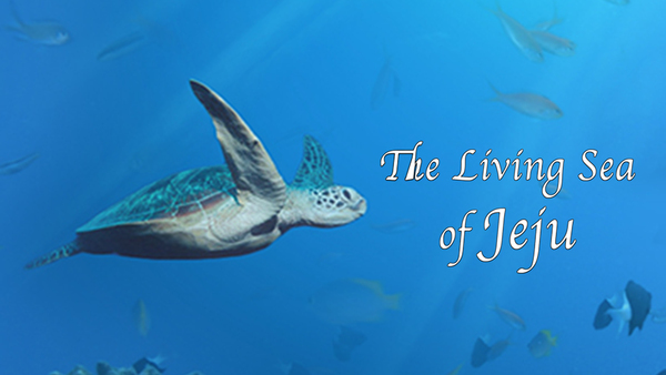 The Living Sea of Jeju