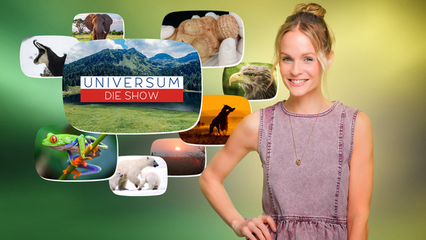 Universum - Die Show