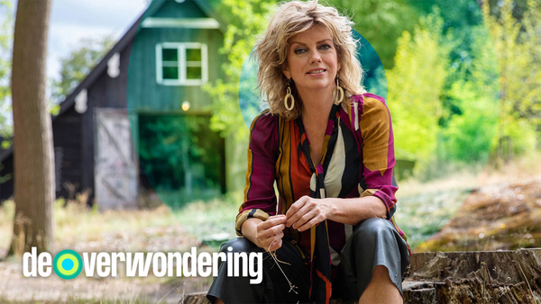 De verwondering