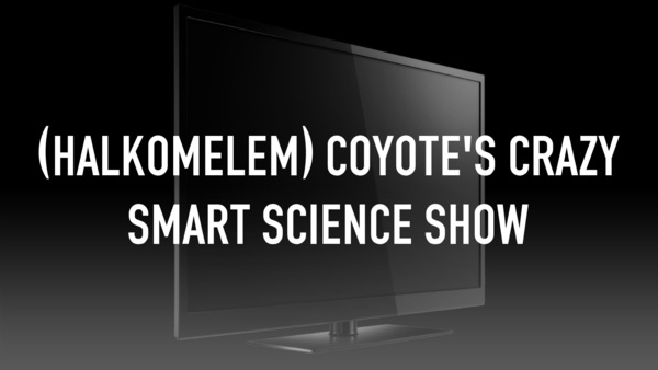 (Halkomelem) Coyote's Crazy Smart Science Show