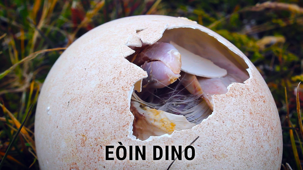 Eòin Dino