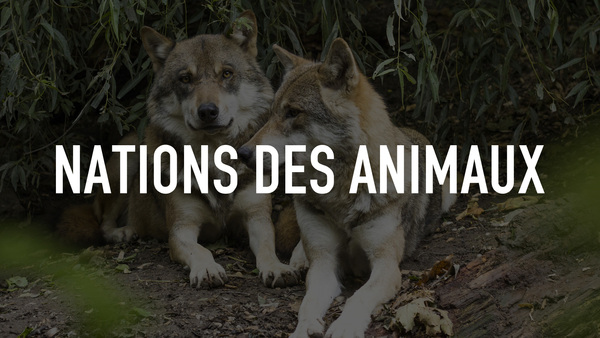 Nations des animaux