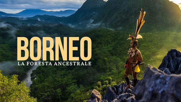 Borneo la foresta ancestrale