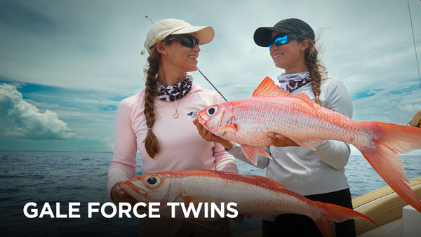Gale Force Twins
