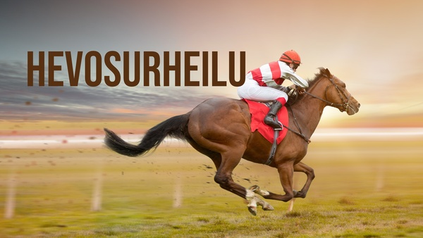 Hevosurheilu