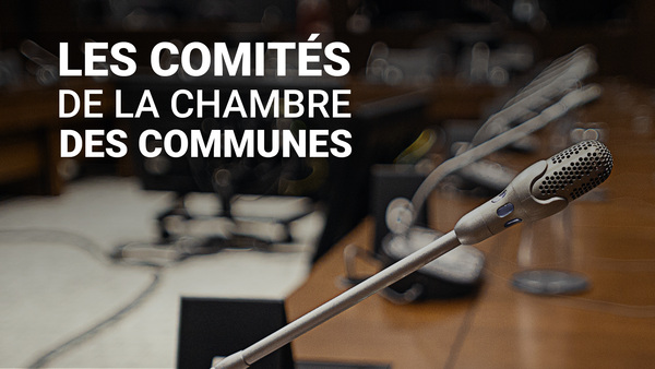 Les comités de la Chambre des communes