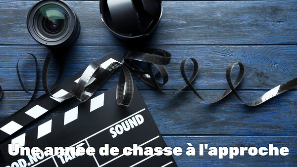 Une année de chasse à l'approche