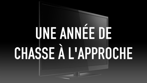 Une année de chasse à l'approche