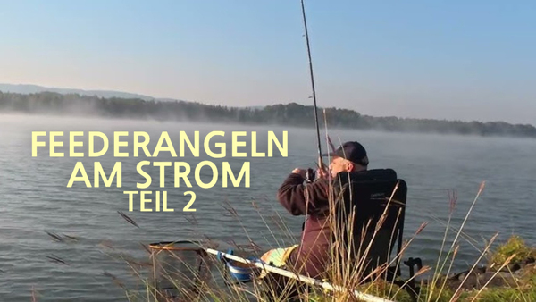 Feederangeln am Strom - Teil 2