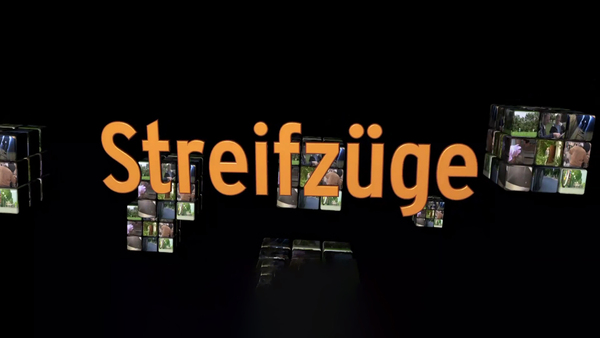 Streifzüge