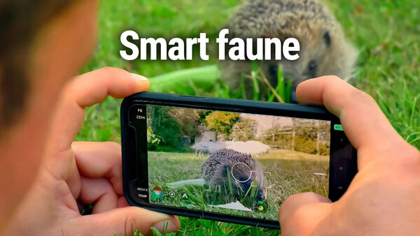 Smart faune